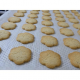 Biscuits sucrés BIO en VRAC (par tranche de 10g)