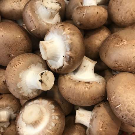 Champignons de Paris Bruns (LES 100 GR)