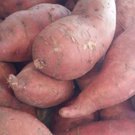 Patates douces  (LES 100 GR)