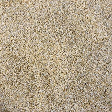 Quinoa blanc HVE VRAC (100g)