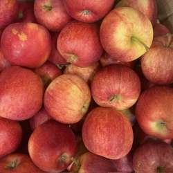 Pommes du Rhône (LES 100 GR)