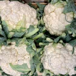 Chou-Fleur (pièce)
