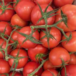 Tomates Grappe (LES 100 GR)