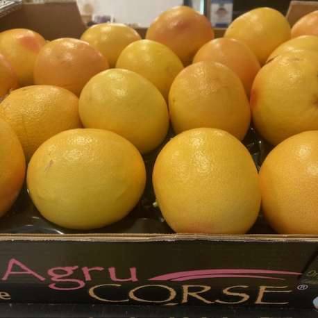 Pomelos de Corse (LES 100 GR)
