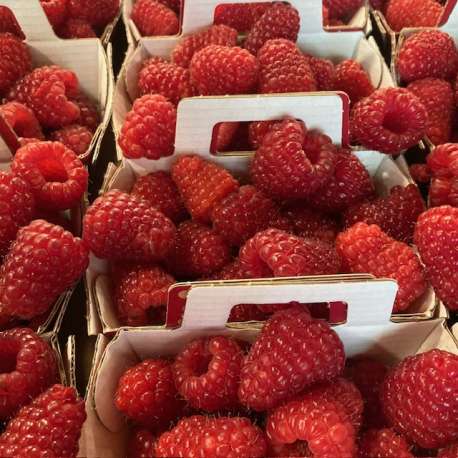 Framboises  (Barquette 125 g)
