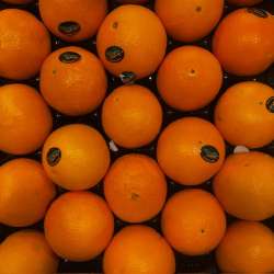 Orange de Corse (LES 100 GR)