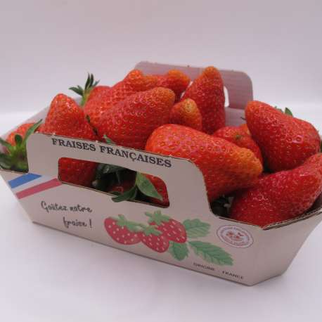 Fraises Cléry (Barquette 500 g)