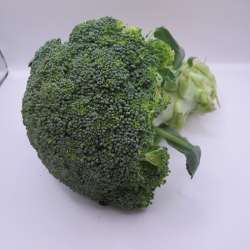 Brocolis en bouquet  (250 g env.)