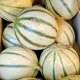 Melon à l'unité (env. 1kl)